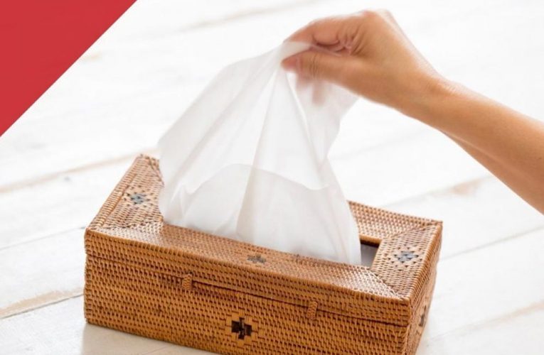 5 Essential Properties of a Soft and Bulky Tissue Paper