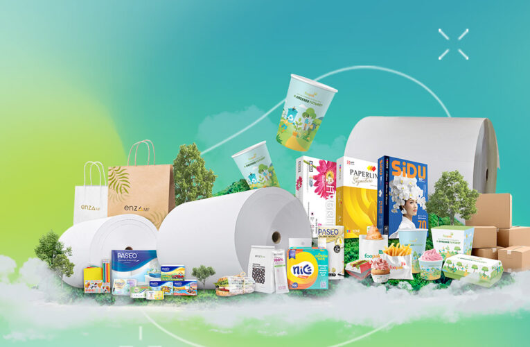 How Regulations and Digitalisation Are Revolutionising the Paper Packaging Industry