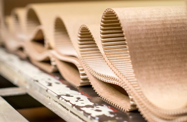 Paper and Packaging Firms Turn to Disciplined Approach Powered by AI to Manage Overcapacity, Transform Maintenance and Unlock Commercial Excellence – Bain & Co Report