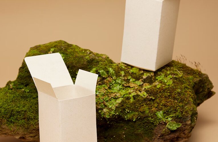 Canopy Launches First-of-Its-Kind USD2 Billion Investment Blueprint to Transform Paper, Packaging and Textile Supply Chains