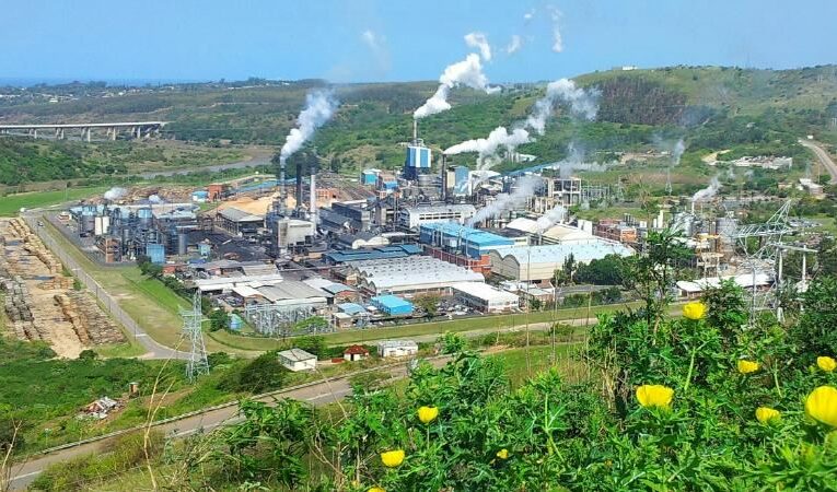 Valmet to Deliver Recovery Boiler Upgrade to Improve Safety and Reliability of Sappi Saiccor Mill in South Africa